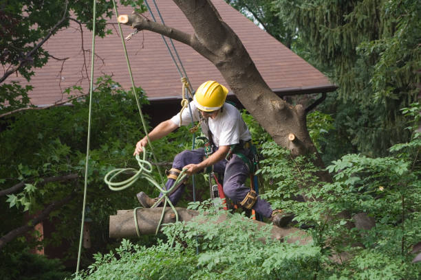 Lawn Irrigation Installation and Maintenance in Farmington Hills, MI